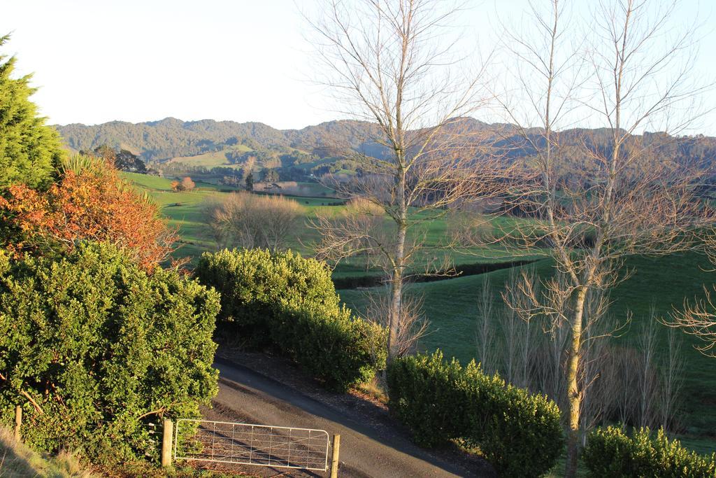Birds Eye View Bed And Breakfast Waihi Dış mekan fotoğraf